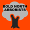 White Bear Lake Tree Service by Bold North Arborists